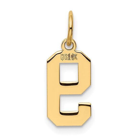 14k Yellow Gold, Athletic Collection, Small Polished Number 9 Pendant - Picture 3 of 5